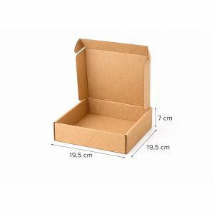 Kartonska kutija 19.5x19.5x7 cm (N26) - Repromaterijali