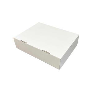 Kartonska kutija 42x32x11 (N84B) - Bijela 