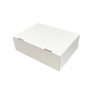 Kartonska kutija 44.5x33.5x14cm (N86) - Bijela