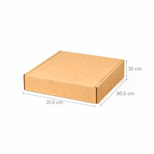 Kartonska kutija N51 31,5x30,5x10