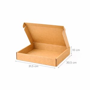 Kartonska kutija N51 31,5x30,5x10