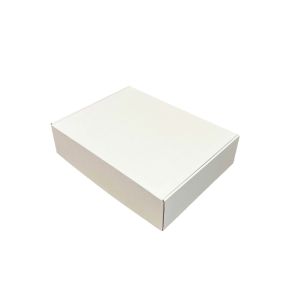 Kartonska kutija N52B 42x31x10 - Bijela