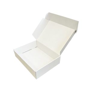 Kartonska kutija N52B 42x31x10 - Bijela