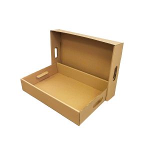 Kartonska kutija s ručkama 60x40x11 cm (N88) - kartonska kutija za arhiviranje, selidbu, s poklopcem