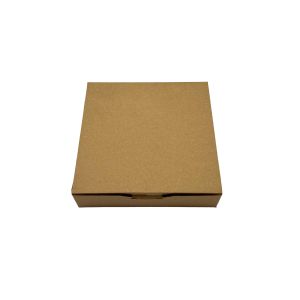 Kartonska kutija M38 19x19x4,5cm