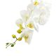 Dekorativna bijela PVC orhideja 90cm za uređenje doma,ureda,proslava 