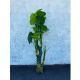 Dekorativna PVC biljka zelena 179cm za uređenenje doma,proslava,vrta