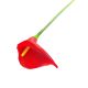 Dekorativni PVC cvijet crvena kala 61cm za uređenje doma,ureda,proslava 
