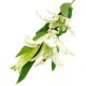 Dekorativno PVC cvijeće bijeli ljiljan 109cm za uređenje doma,ureda,proslava
