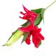 Dekorativno PVC cvijeće crveni ljiljan 109cm za uređenje doma,ureda,proslava 