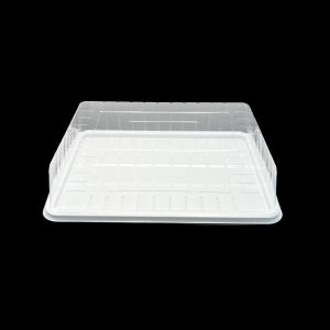 Kutija za kolače 270x410x100 PKV
