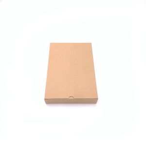 Kartonska kutija 17x25x4cm - B70