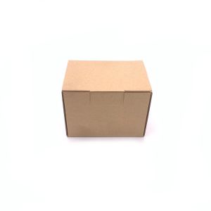 Kartonska kutija 13.5x10x10 - B90