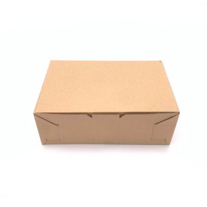 Kartonska kutija 26x17.5x9cm - B119