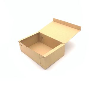 Kartonska kutija 26x17.5x9cm - B119