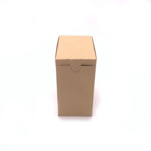 Kartonska kutija 22x16.5x13cm - B123
