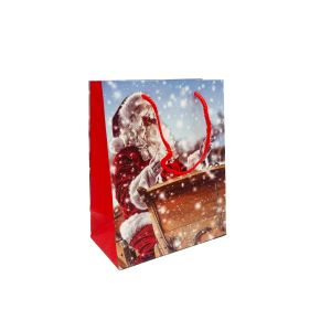 Ukrasna poklon vrećica Djed Božićnjak 23x18x10 cm (mala) 