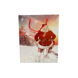 Ukrasna poklon vrećica Djed Božićnjak na motoru 32x26x12 cm (srednja)